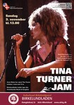 8 TinaTurner Plakat.jpg